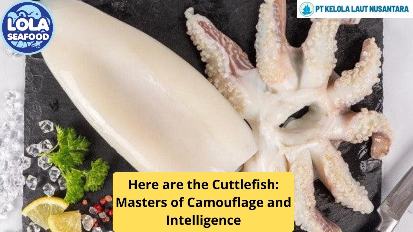 Here are the Cuttlefish: Masters of Camouflage and Intelligence